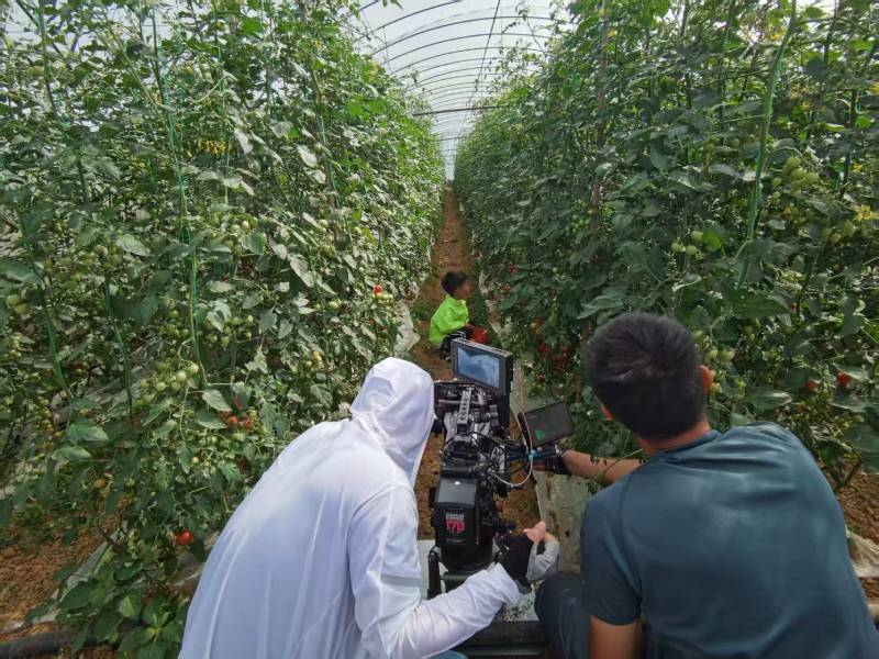 渭南产品宣传视频拍摄公司进阶指南，助力品牌抢占传播高地